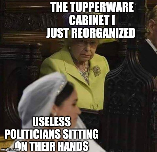 My Tupperware cabinet gets more done | THE TUPPERWARE CABINET I JUST REORGANIZED; USELESS POLITICIANS SITTING ON THEIR HANDS | image tagged in royal bitch,tupperware,politicians,traitors,political meme | made w/ Imgflip meme maker