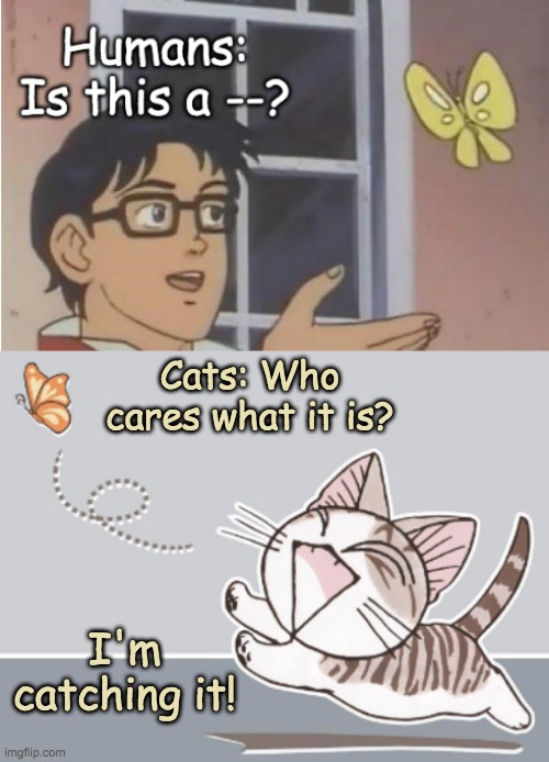 I dreamt it was a butterfly | Cats: Who cares what it is? I'm catching it! | image tagged in butterfly,cats,game | made w/ Imgflip meme maker