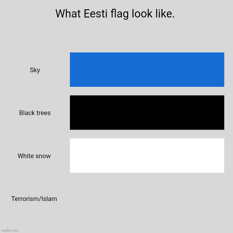 What Eesti flag look like. |  Sky,  Black trees, White snow, Terrorism/Islam | image tagged in charts,bar charts | made w/ Imgflip chart maker