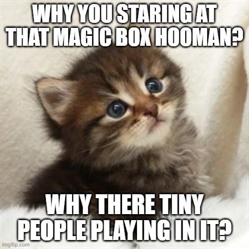 magic TV box | WHY YOU STARING AT THAT MAGIC BOX HOOMAN? WHY THERE TINY PEOPLE PLAYING IN IT? | image tagged in memes,funny memes,magic box,kitten | made w/ Imgflip meme maker