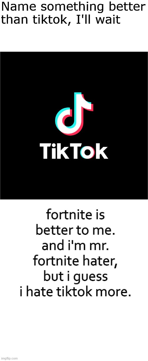 Name something better than tiktok, I'll wait | fortnite is better to me. and i'm mr. fortnite hater, but i guess i hate tiktok more. | image tagged in name something better than tiktok i'll wait | made w/ Imgflip meme maker