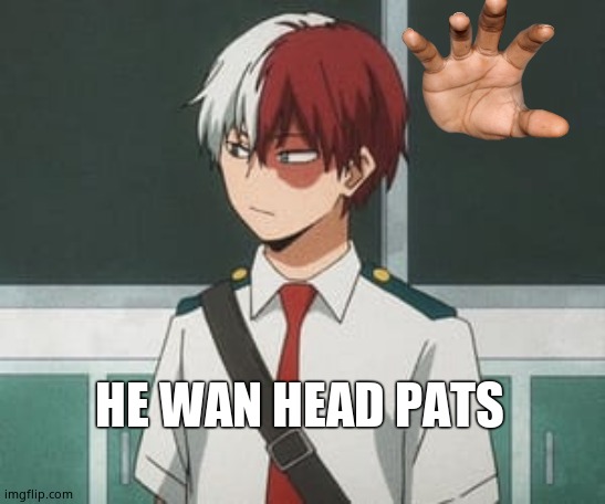 Unhi | HE WAN HEAD PATS | image tagged in shoto todoroki | made w/ Imgflip meme maker