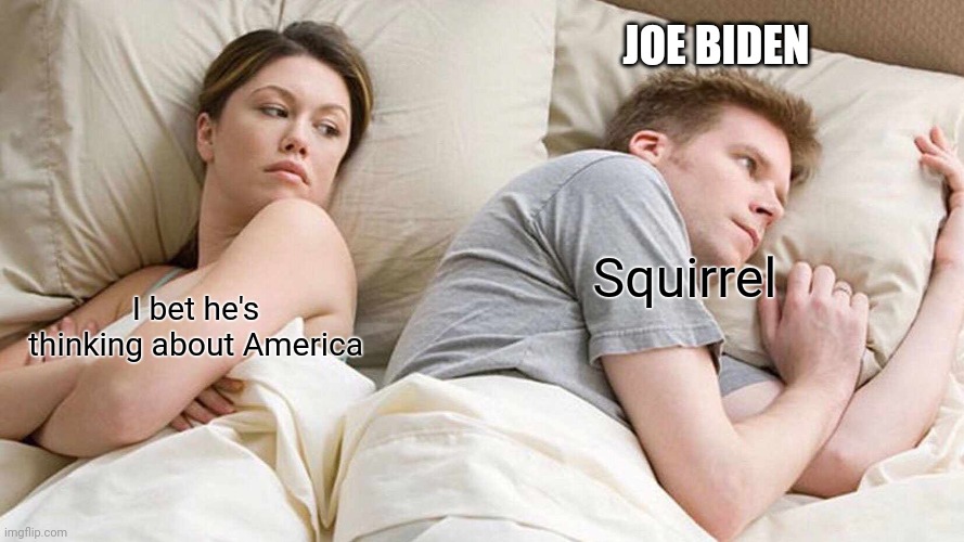 Squirrel Politics | JOE BIDEN; Squirrel; I bet he's thinking about America | image tagged in memes,i bet he's thinking about other women,politics,joe biden,squirrel | made w/ Imgflip meme maker