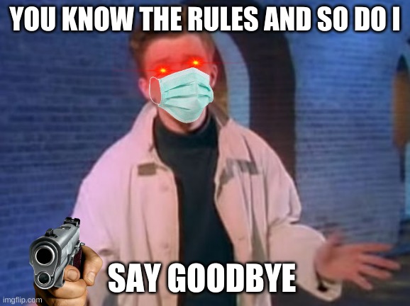 SAY GOODBYE | YOU KNOW THE RULES AND SO DO I; SAY GOODBYE | image tagged in rick astley never gonna let you down | made w/ Imgflip meme maker