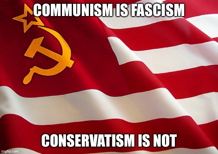 True | COMMUNISM IS FASCISM; CONSERVATISM IS NOT | image tagged in democrat flag,memes,politics,fascism,communism,conservatives | made w/ Imgflip meme maker