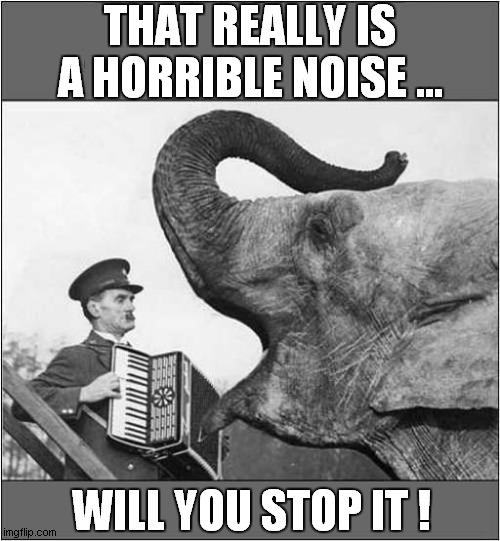 This Elephant Doesn't Like The Harmonium | THAT REALLY IS A HORRIBLE NOISE ... WILL YOU STOP IT ! | image tagged in elephant,harmonium,stop | made w/ Imgflip meme maker