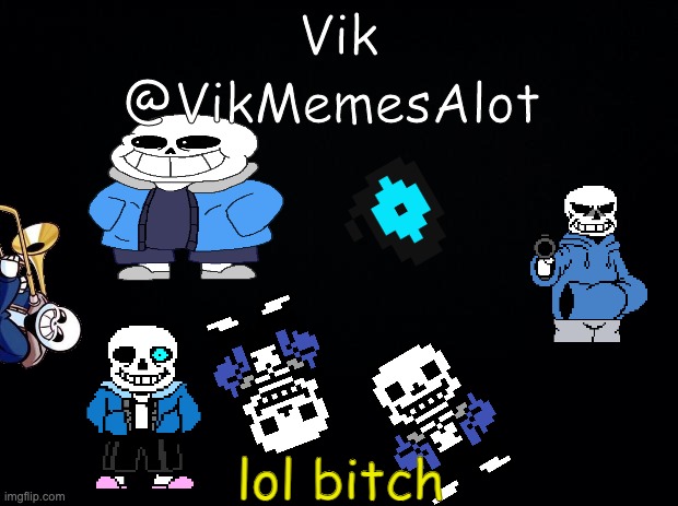 Vik aSANSment | lol bitch | image tagged in vik asansment | made w/ Imgflip meme maker