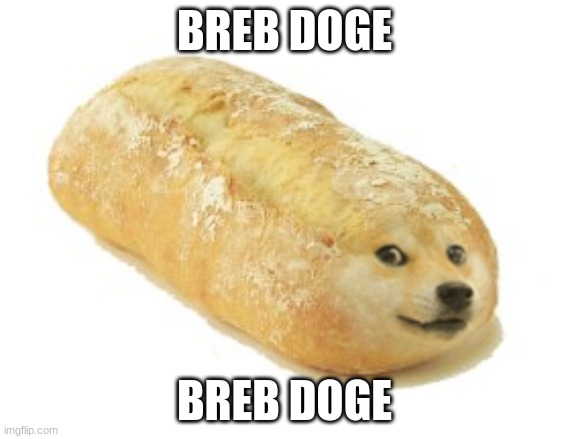 Breb Doge | BREB DOGE; BREB DOGE | image tagged in breb doge | made w/ Imgflip meme maker