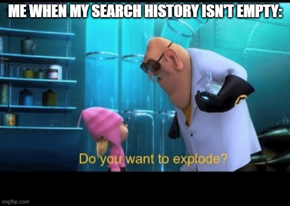 Anyone else feel this way? |  ME WHEN MY SEARCH HISTORY ISN'T EMPTY: | image tagged in do you want to explode,memes,search history | made w/ Imgflip meme maker