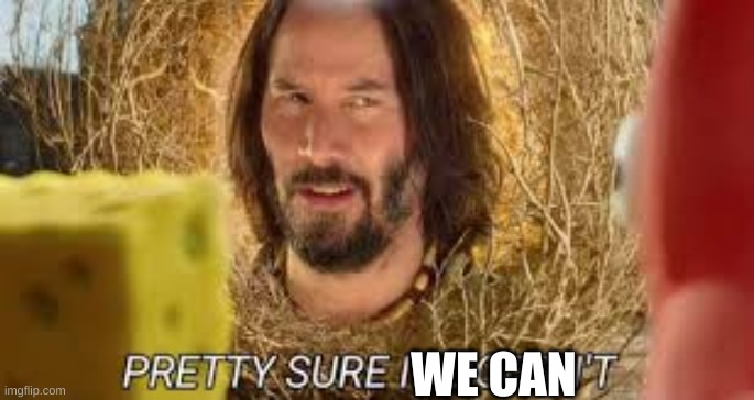 Pretty sure it doesn't | WE CAN | image tagged in pretty sure it doesn't | made w/ Imgflip meme maker