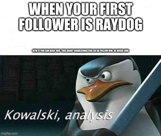 kowalski, analysis | WHEN YOUR FIRST FOLLOWER IS RAYDOG; BTW IF YOU CAN READ THIS, THIS ABOUT BRADLEEWALTERS SO GO FOLLOW HIM. HE NEEDS LOVE | image tagged in kowalski analysis | made w/ Imgflip meme maker