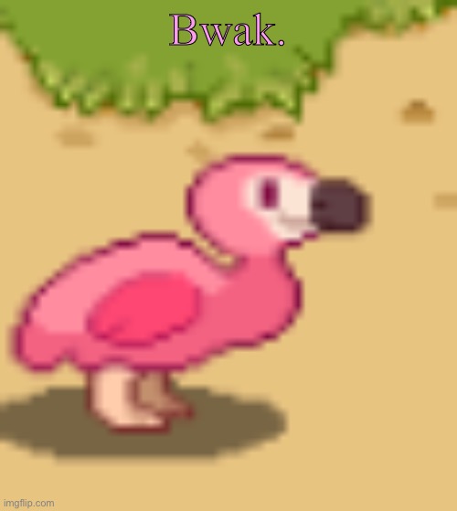clouddays flamingo | Bwak. | image tagged in clouddays flamingo | made w/ Imgflip meme maker
