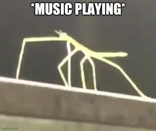Get Stickbugged LOL | *MUSIC PLAYING* | image tagged in get stickbugged lol | made w/ Imgflip meme maker