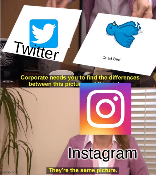 They're The Same Picture | Twitter; Dead Bird; Instagram | image tagged in memes,they're the same picture | made w/ Imgflip meme maker