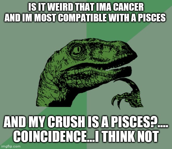 Weird....Coincidence...I think not | IS IT WEIRD THAT IMA CANCER AND IM MOST COMPATIBLE WITH A PISCES; AND MY CRUSH IS A PISCES?.... COINCIDENCE...I THINK NOT | image tagged in dino think dinossauro pensador | made w/ Imgflip meme maker