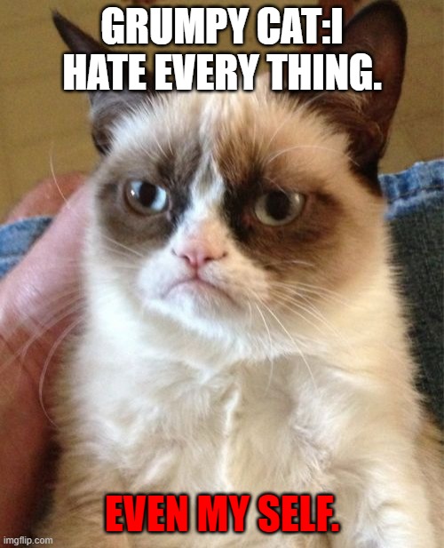 Grumpy Cat | GRUMPY CAT:I HATE EVERY THING. EVEN MY SELF. | image tagged in memes,grumpy cat | made w/ Imgflip meme maker