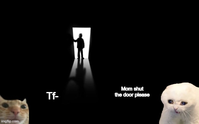 cats | Mom shut the door please; Tf- | image tagged in dark room | made w/ Imgflip meme maker