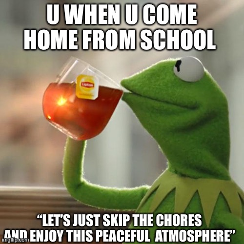 But That's None Of My Business | U WHEN U COME HOME FROM SCHOOL; “LET’S JUST SKIP THE CHORES AND ENJOY THIS PEACEFUL  ATMOSPHERE” | image tagged in memes,but that's none of my business,kermit the frog | made w/ Imgflip meme maker