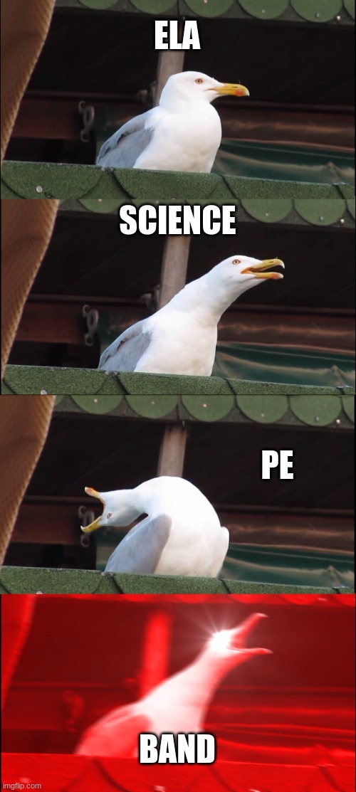 Inhaling Seagull | ELA; SCIENCE; PE; BAND | image tagged in memes,inhaling seagull,school | made w/ Imgflip meme maker