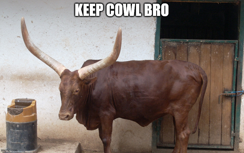 KEEP COWL BRO | made w/ Imgflip meme maker