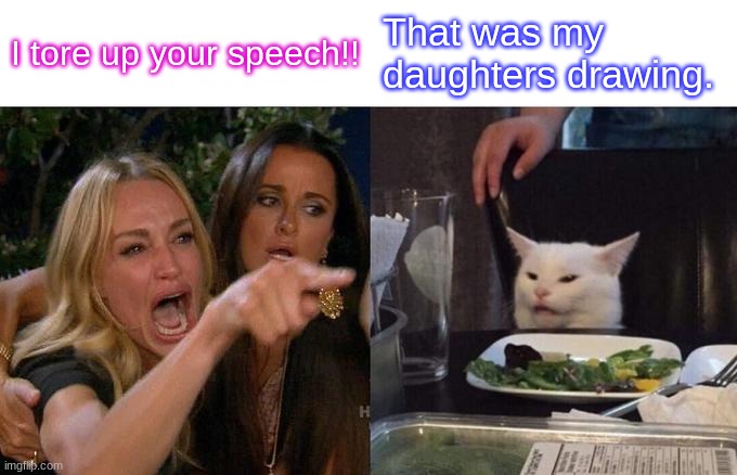 Woman Yelling At Cat | I tore up your speech!! That was my daughters drawing. | image tagged in memes,woman yelling at cat | made w/ Imgflip meme maker