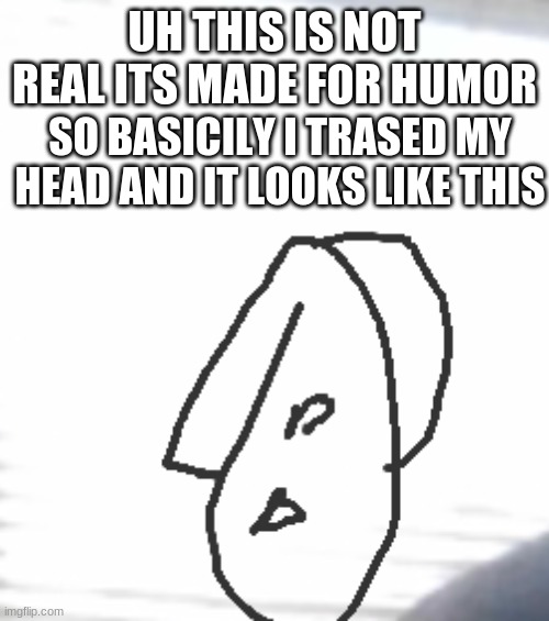 ... | UH THIS IS NOT REAL ITS MADE FOR HUMOR; SO BASICILY I TRASED MY HEAD AND IT LOOKS LIKE THIS | image tagged in bruh | made w/ Imgflip meme maker