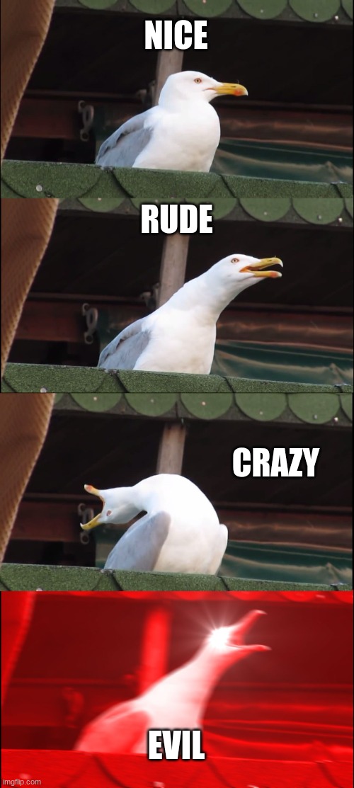 Inhaling Seagull | NICE; RUDE; CRAZY; EVIL | image tagged in memes,inhaling seagull | made w/ Imgflip meme maker