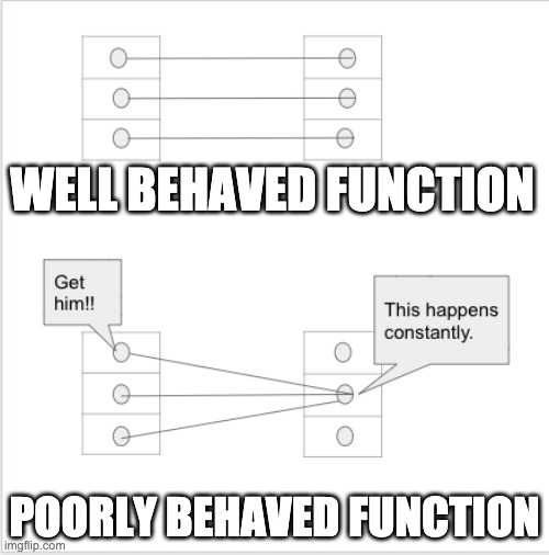 function | WELL BEHAVED FUNCTION; POORLY BEHAVED FUNCTION | image tagged in algebra | made w/ Imgflip meme maker