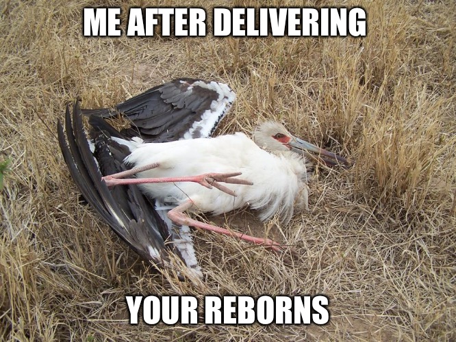 Reborn Stork | ME AFTER DELIVERING; YOUR REBORNS | image tagged in reborns,stork | made w/ Imgflip meme maker