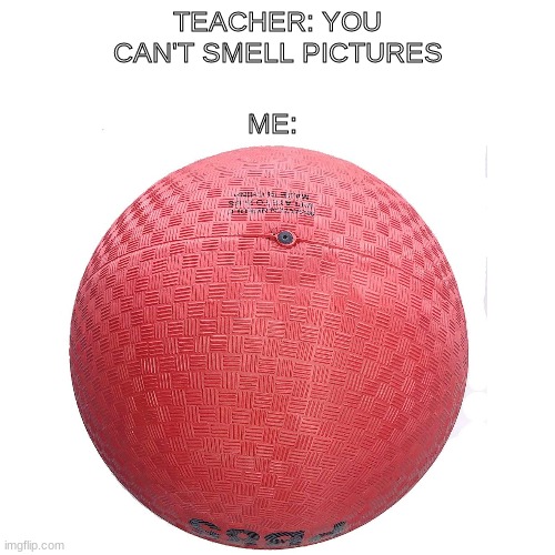 Nostalgia... |  ME:; TEACHER: YOU CAN'T SMELL PICTURES | image tagged in dodgeball,fun,memes,childhood,dont read the tags | made w/ Imgflip meme maker