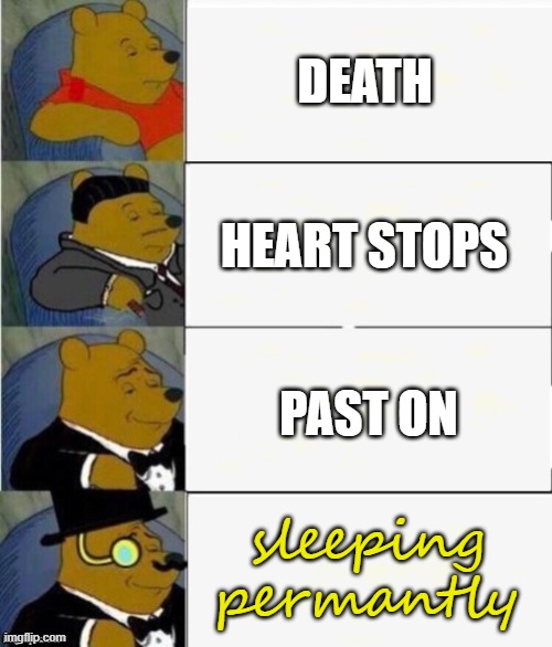 Tuxedo Winnie the Pooh 4 panel | DEATH; HEART STOPS; PAST ON; sleeping permantly | image tagged in tuxedo winnie the pooh 4 panel | made w/ Imgflip meme maker