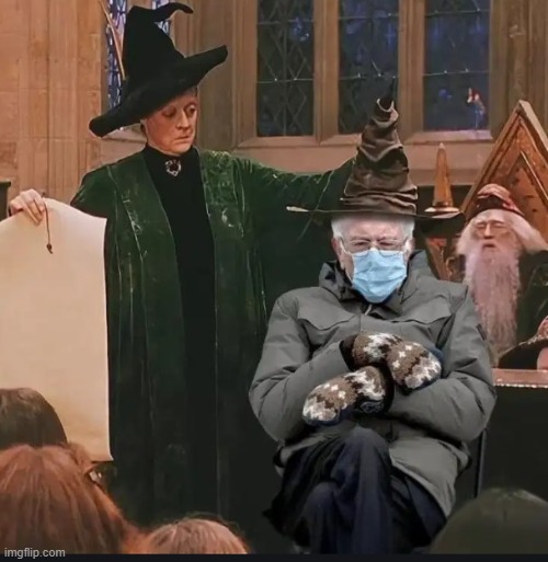 what House you guys think Bernie in? (type in comments) | image tagged in bernie,harry potter sorting hat | made w/ Imgflip meme maker