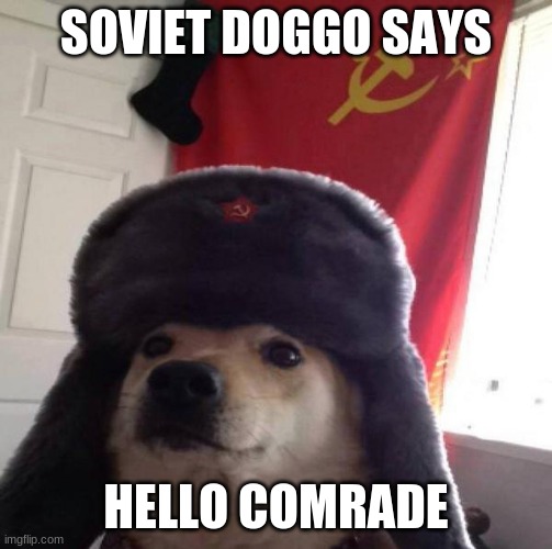 SOVIET DOGGO SAYS HELLO COMRADE | image tagged in russian doge | made w/ Imgflip meme maker