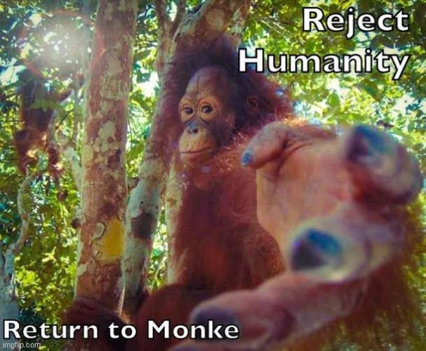 Return of the Monkey | image tagged in return to monke | made w/ Imgflip meme maker