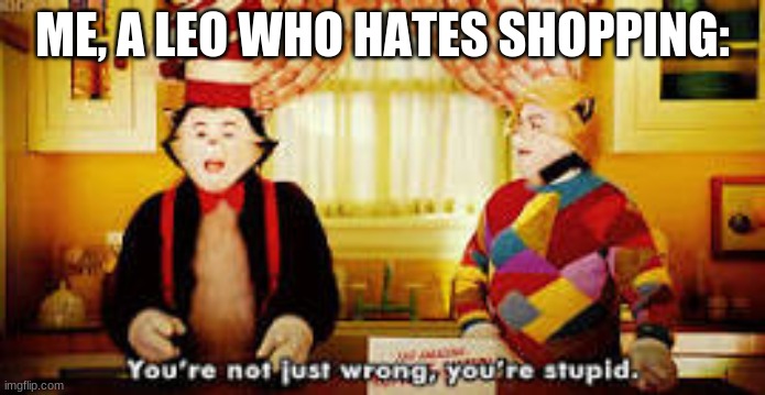 Your not just wrong your stupid | ME, A LEO WHO HATES SHOPPING: | image tagged in your not just wrong your stupid | made w/ Imgflip meme maker