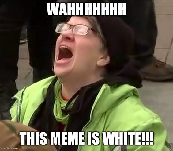 Crying liberal | WAHHHHHHH THIS MEME IS WHITE!!! | image tagged in crying liberal | made w/ Imgflip meme maker