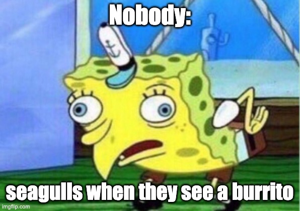 Mocking Spongebob Meme | Nobody:; seagulls when they see a burrito | image tagged in memes,mocking spongebob | made w/ Imgflip meme maker