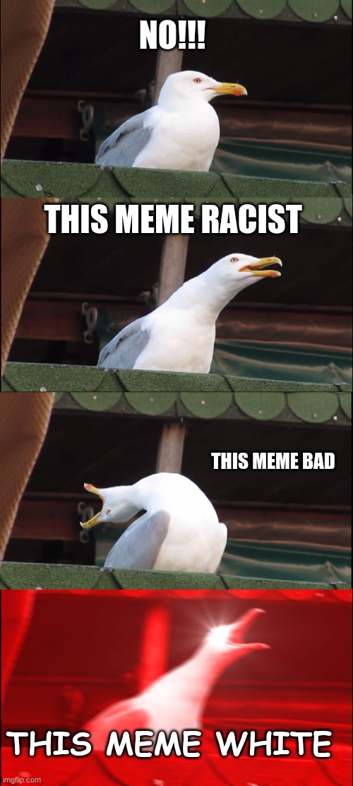 Inhaling Seagull Meme | NO!!! THIS MEME RACIST THIS MEME BAD THIS MEME WHITE | image tagged in memes,inhaling seagull | made w/ Imgflip meme maker