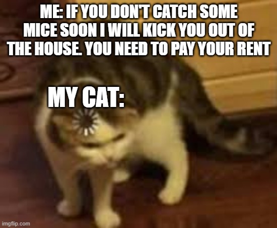 what rent? | ME: IF YOU DON'T CATCH SOME MICE SOON I WILL KICK YOU OUT OF THE HOUSE. YOU NEED TO PAY YOUR RENT; MY CAT: | image tagged in ladies yelling at confused cat | made w/ Imgflip meme maker