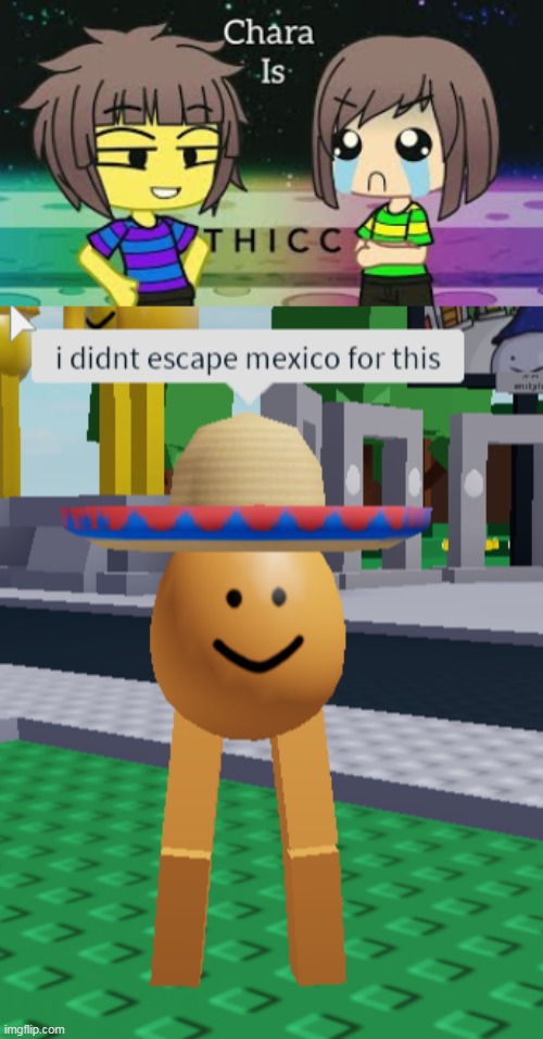 W H Y | made w/ Imgflip meme maker