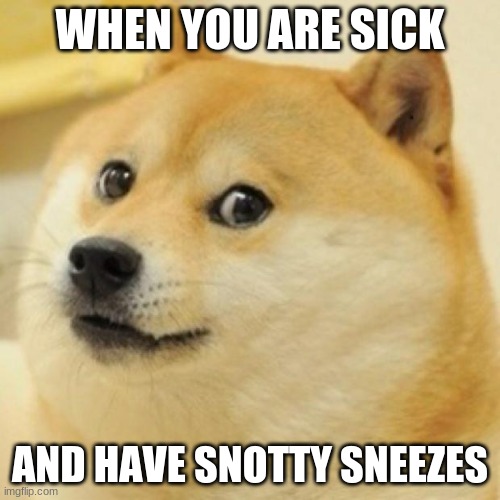 wow doge | WHEN YOU ARE SICK; AND HAVE SNOTTY SNEEZES | image tagged in wow doge | made w/ Imgflip meme maker