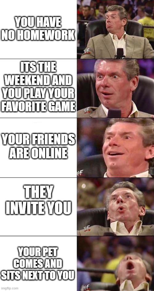A sign of good luck. | YOU HAVE NO HOMEWORK; ITS THE WEEKEND AND YOU PLAY YOUR FAVORITE GAME; YOUR FRIENDS ARE ONLINE; THEY INVITE YOU; YOUR PET COMES AND SITS NEXT TO YOU | image tagged in memes,wwe | made w/ Imgflip meme maker