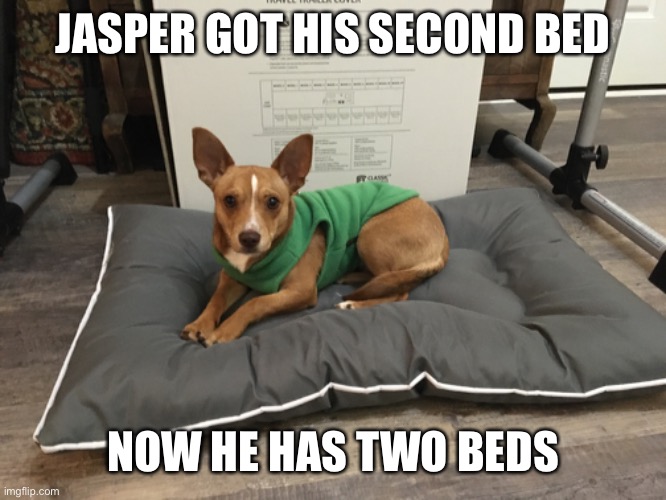 Jasper’s bed | JASPER GOT HIS SECOND BED; NOW HE HAS TWO BEDS | made w/ Imgflip meme maker