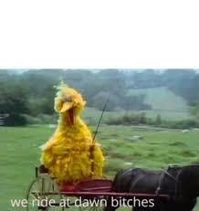 Big Bird At Dawn Blank Meme Template