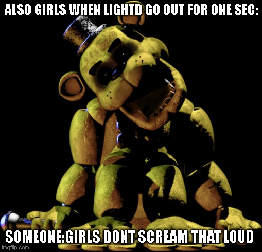 ALSO GIRLS WHEN LIGHTD GO OUT FOR ONE SEC:; SOMEONE:GIRLS DONT SCREAM THAT LOUD | image tagged in fun | made w/ Imgflip meme maker