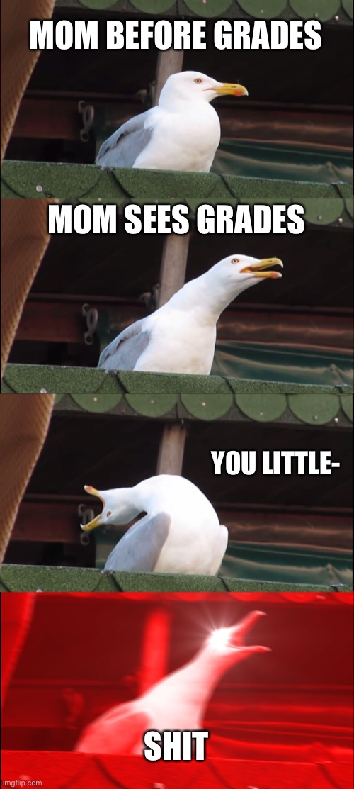 Inhaling Seagull Meme | MOM BEFORE GRADES; MOM SEES GRADES; YOU LITTLE-; SHIT | image tagged in memes,inhaling seagull | made w/ Imgflip meme maker