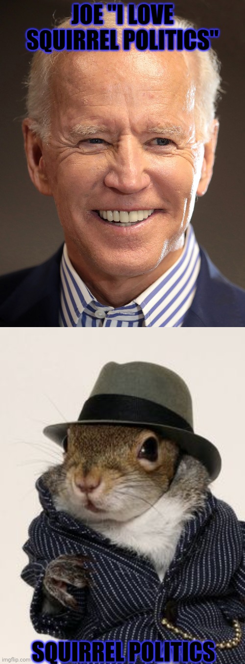 Squirrel Politics | JOE "I LOVE SQUIRREL POLITICS"; SQUIRREL POLITICS | image tagged in squirrel politics,squirrel,funny,joe biden,funny memes | made w/ Imgflip meme maker
