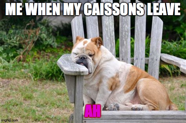 bored | ME WHEN MY CAISSONS LEAVE; AH | image tagged in dogs | made w/ Imgflip meme maker