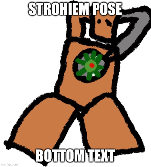 Strohiem pose | STROHIEM POSE; BOTTOM TEXT | image tagged in jojo's bizarre adventure | made w/ Imgflip meme maker