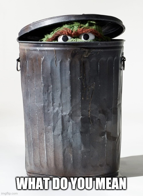 WHAT DO YOU MEAN | image tagged in oscar the grouch in his garbage can | made w/ Imgflip meme maker